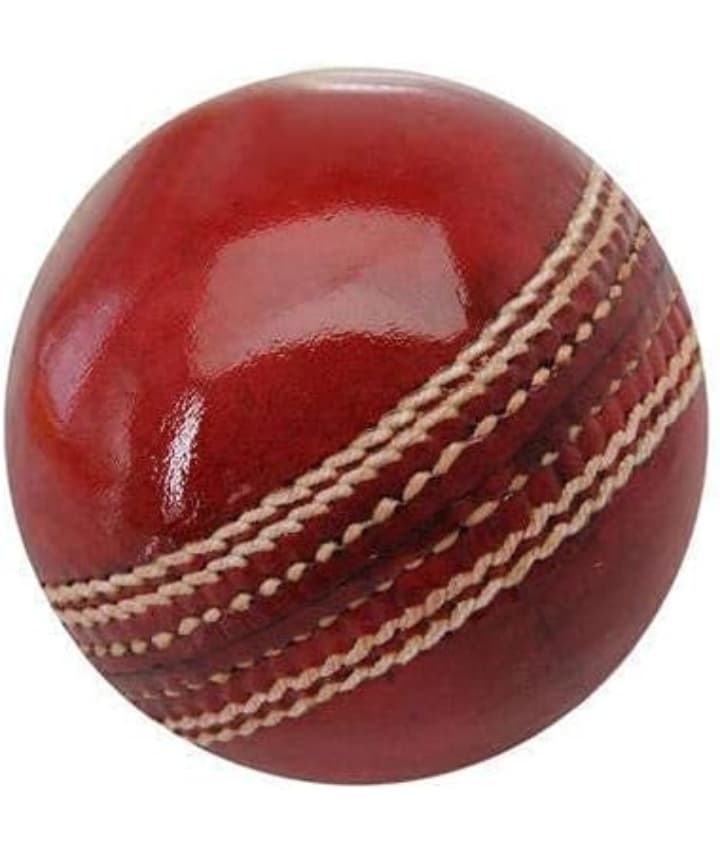 Cricket leather Ball
