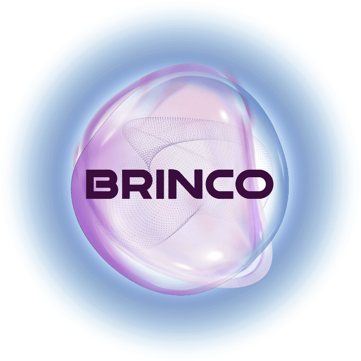 Brinco Hub Private Limited