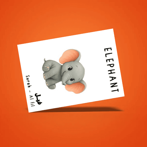 Animals in the Qur’an Flashcards for Kids | Islamic Guessing Game | Qur’an Learning Cards