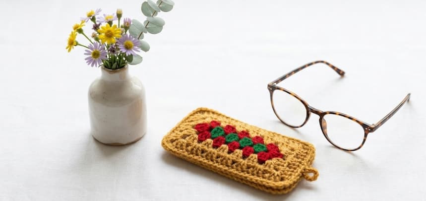 Specs/ Glasses case